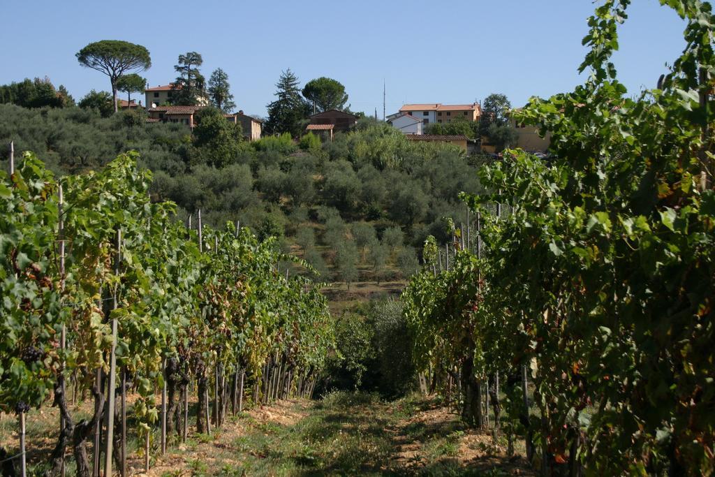 Casa Fontanino Bed & Breakfast Altopascio Exterior photo